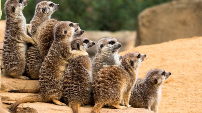Apache Kafka 2.8 erlaubt ersten Blick auf die Zukunft ohne ZooKeeper