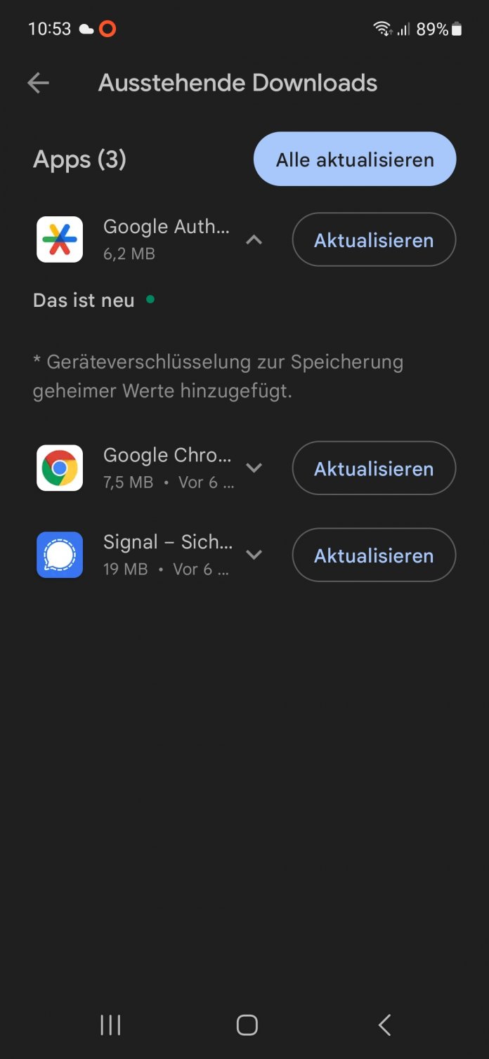 Screenshot der Google-Play-Store-Update-Meldung