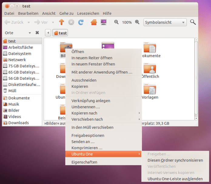 Ubuntu one 10.10