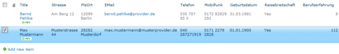 SharePoint-Liste mit Bewerberdaten (Abb. 3)