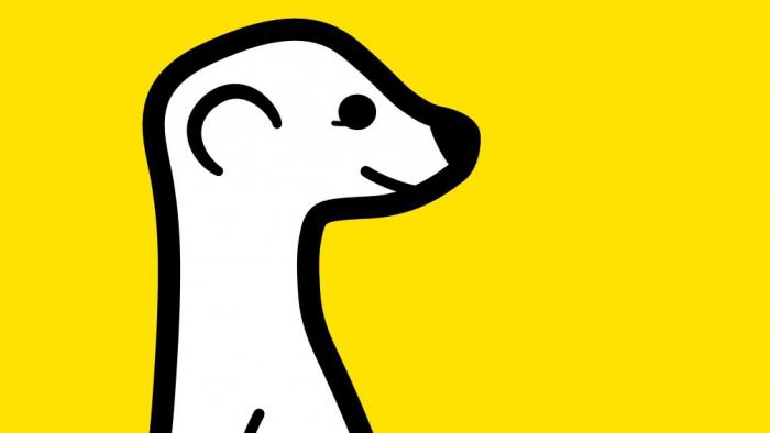 Twitter bremst Video-App Meerkat aus