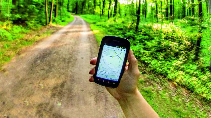 Geocaching kann Vogelbrut gefährden
