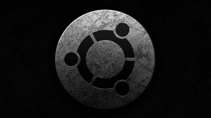 Ubuntu: Der PC im Smartphone und ein gerissener Werwolf