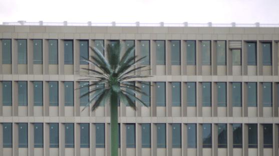 Baum vor Gebäude