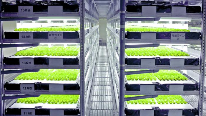 Salat aus Roboterhand
