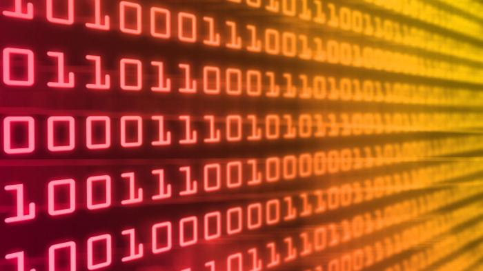 Student verschreibt sich absichtlich und US-Regierung führt potentiellen Schadcode aus