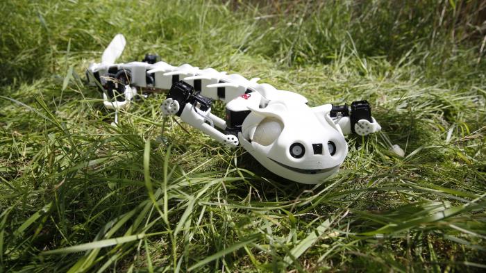 Roboter bewegt sich wie ein Salamander