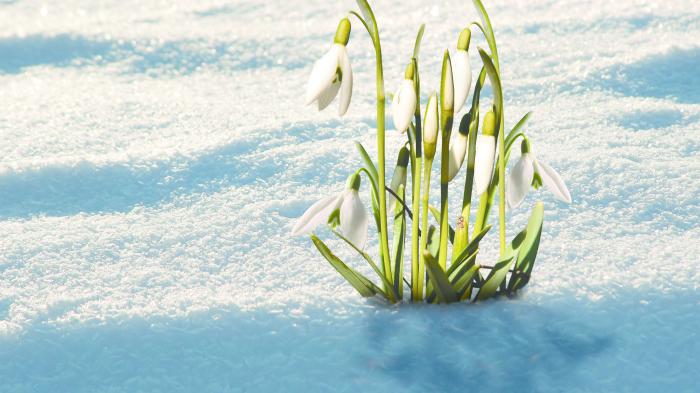 Java: Spring Boot 1.4 verbessert Testfunktionen