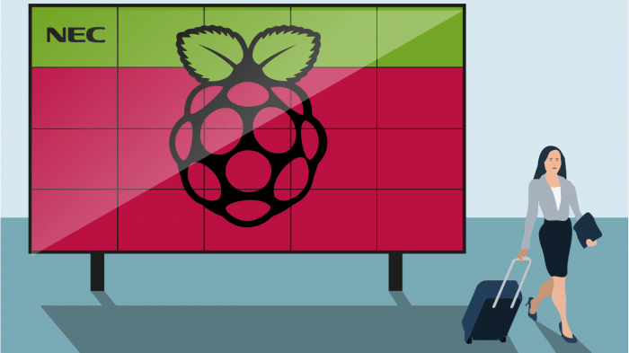 Raspberry Pi
