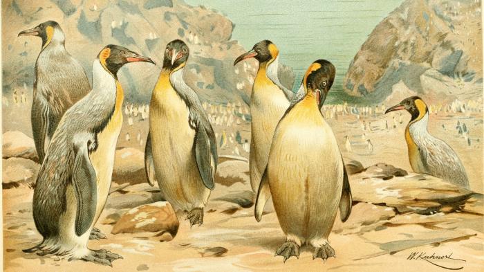 Zentyal 5.0: Small Business Server auf Linux-Basis