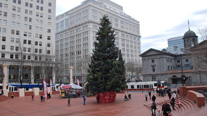 Großer Christbaum auf öffentlichem Platz