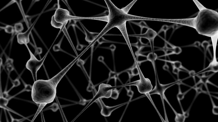 Gehirn Neuronen