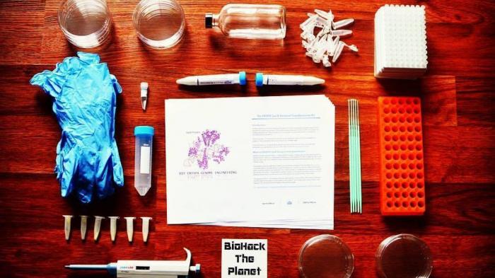 Inhalt des DIY-CRISPR-Kits von The Odin