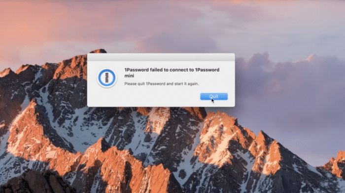 1Password Problem