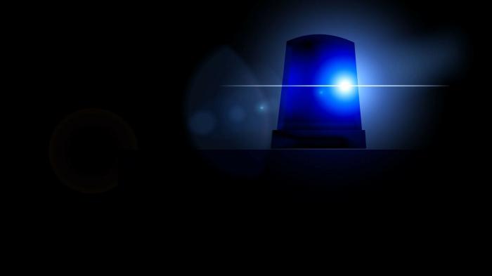Mutmaßliche Microsoft-Scammer in Wilhelmshaven festgenommen
