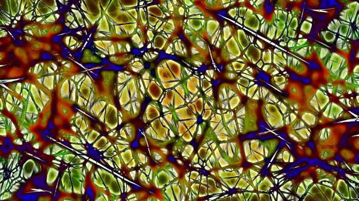 Neuronale Netze