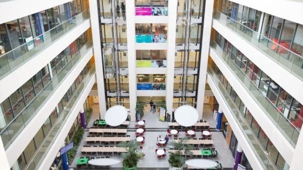 EU-Experten warnen: Abhängigkeit von Microsoft gefährdet die digitale Souveränität