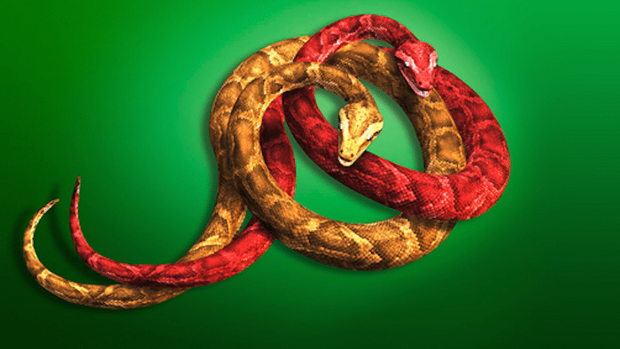 Python
