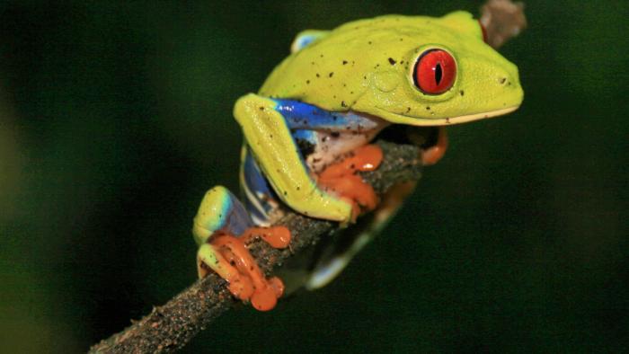 Reisefotografie: c't Fotografie unterwegs in Costa Rica