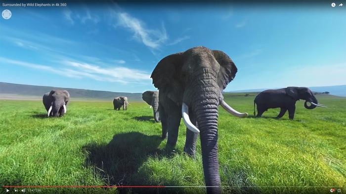 YouTube-Analytics: Heatmaps der User-Blicke in VR-Videos