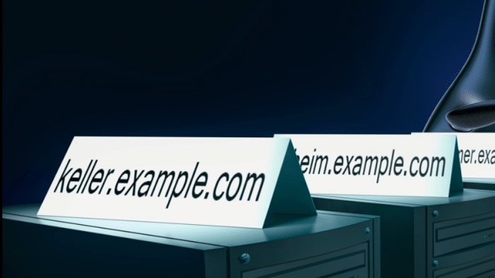 DynDNS: REST-API für Domain-Verwaltung inklusive DNSSEC