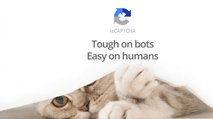Katze, darüber "reCpatcha - Tough on bots - Easy on humans"