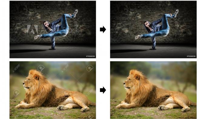 Google: Algorithmus entfernt Wasserzeichen in Fotos automatisch