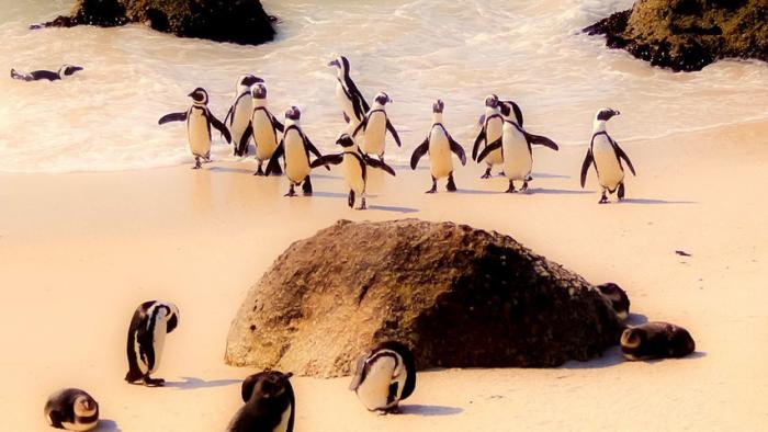 IBM i heute: Linux und Open Source mit dem Midrange-Server