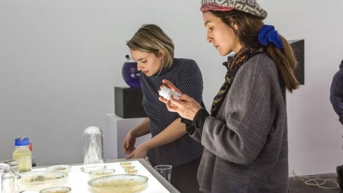 Biohacking-Retreat für Kurzentschlossene
