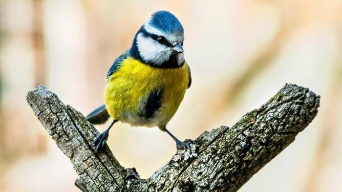 Mit allen Tricks: die Bilder der 37. Kalenderwoche