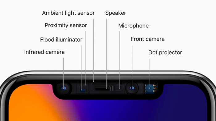 iPhone X