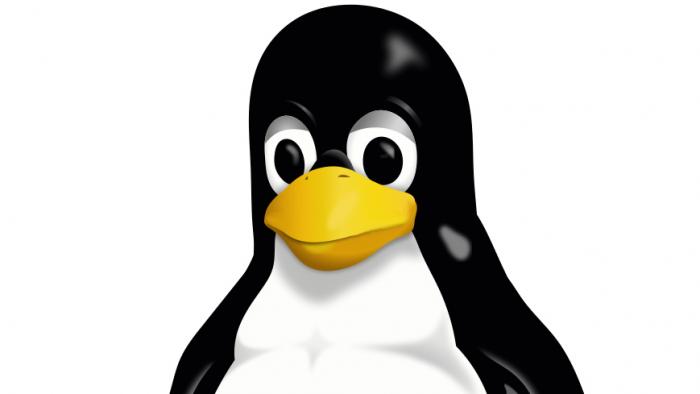 Rückkehr zu Microsoft: Stadt München verbannt LiMux von ihrer Webseite