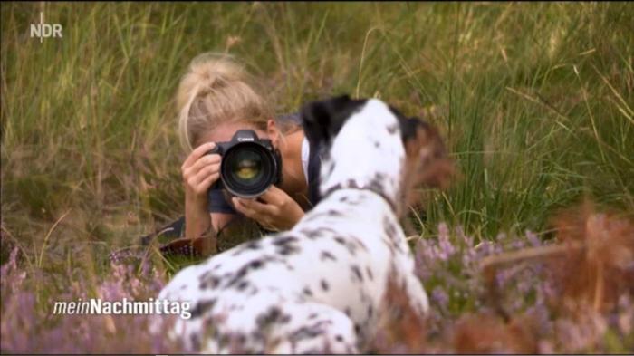 Mediathek-Tipps zum Thema Fotografie: Heute und Gestern, Frieden und Krieg