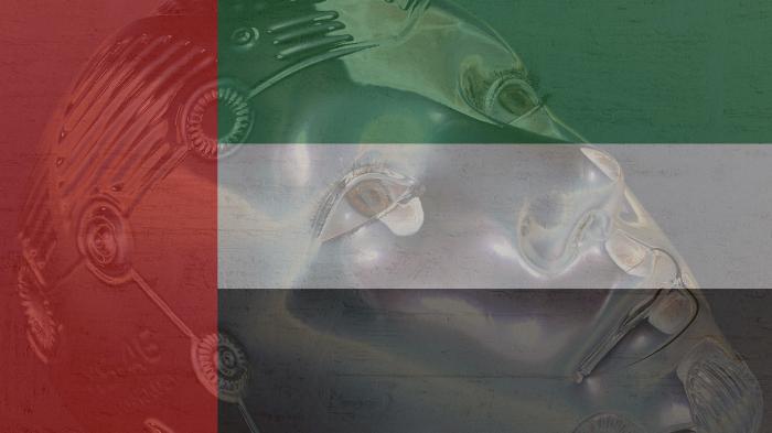 Emirate richten Ministerium für Künstliche Intelligenz ein
