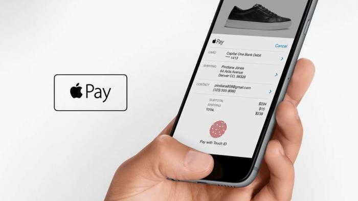 Apple Pay im Web