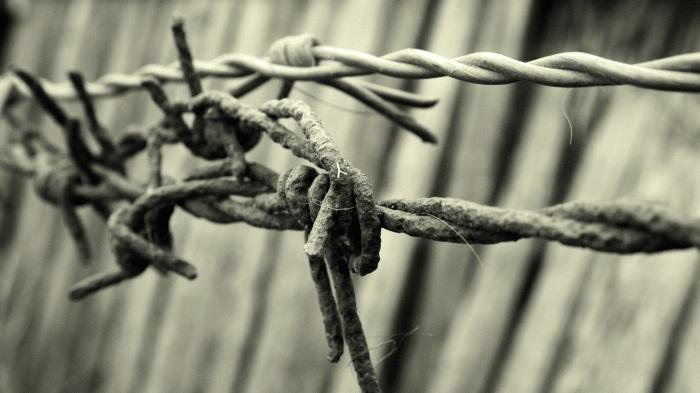 Stacheldraht