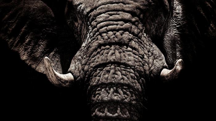 PostgreSQL 10 im Test: Wichtige Neuerungen für Unternehmen
