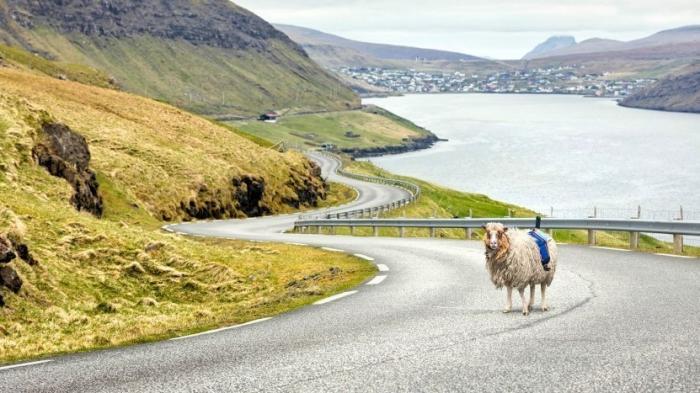 Färöer-Inseln: SheepView statt Google StreetView