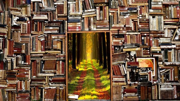 Bücher, Weg, Eskapismus, Flucht