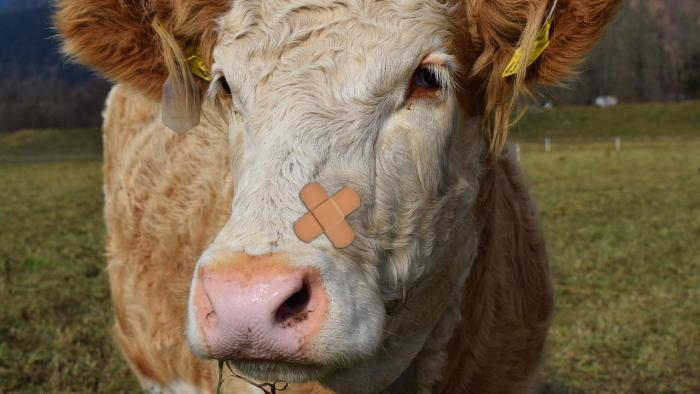 Huge Dirty Cow: Ein Patch für den Linux-Patch