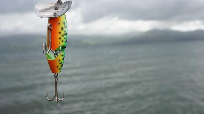 Ganz und gar nicht sicher: Immer mehr Phishing-Webseiten setzen auf HTTPS