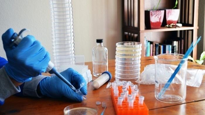 Anbieter von Materialien für Gen-Editierung in Eigenregie unbeeindruckt von FDA-Warnung