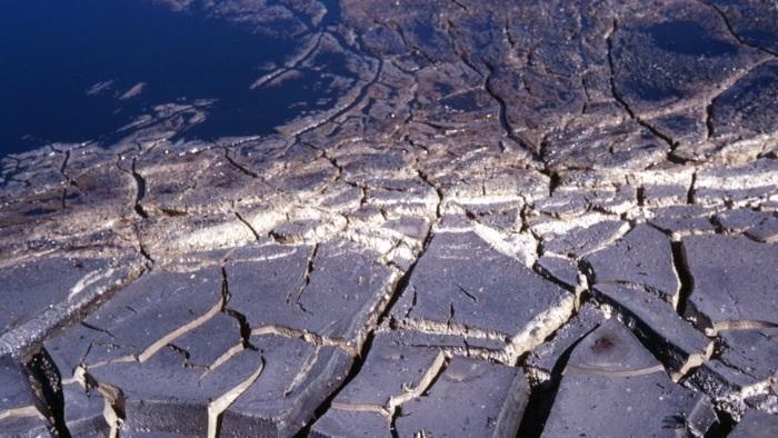 Tage mit extremer Hitze in frühester Kindheit bedeuten weniger Einkommen als Erwachsener