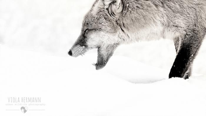 Draußen vor der Tür: Die Bilder der Woche (KW 5)
