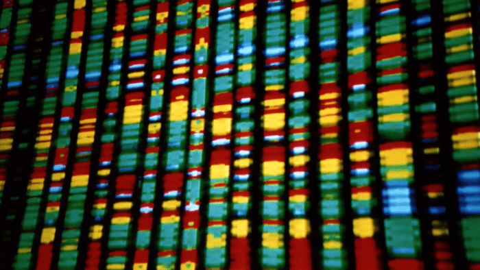 Forscher entwickeln System zum Speichern und Abrufen von Daten in Bakterien-DNA