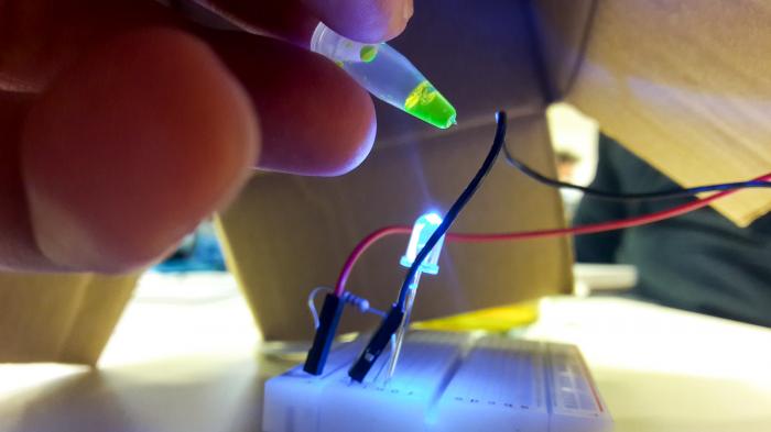 Eine Hand hält ein durchsichtigs Reaktionsgefäß mit gelb leuchtender Flüssigkeit über einer blau leuchtenden LED, die in einem Breadboard steckt.