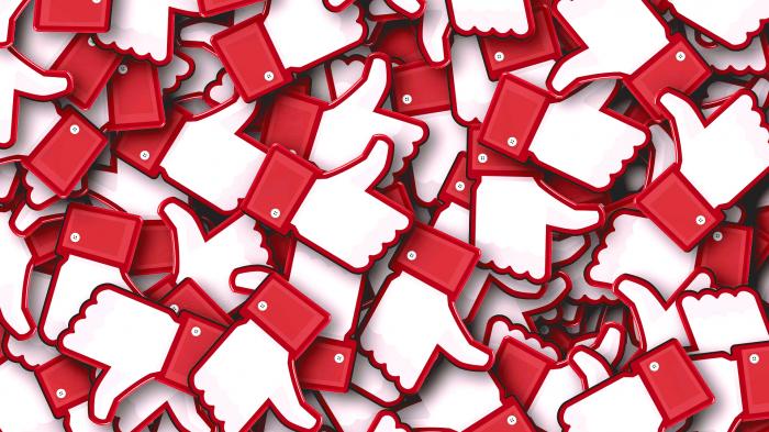 Berichte: Rechtsextreme organisierten Angriffe auf Online-Debatten zur Wahl