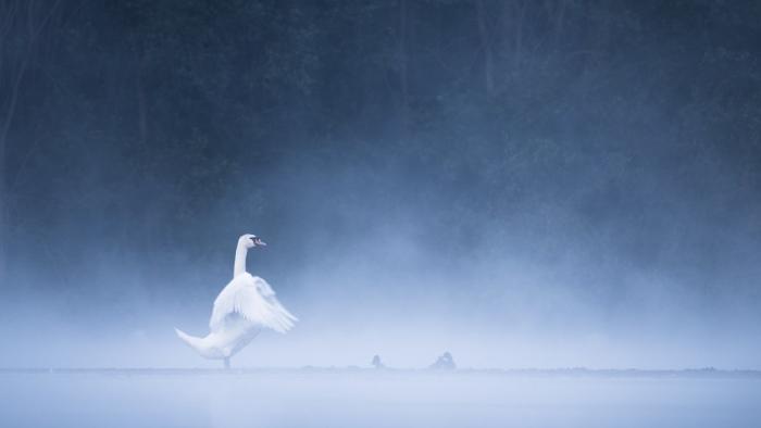 : Die Bilder der Woche (KW 28)