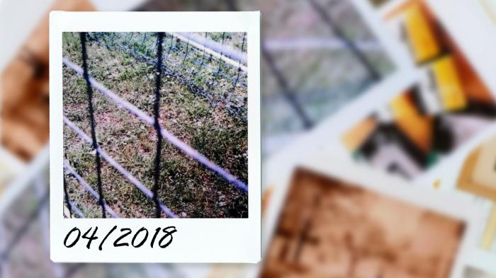 Kommentar: Wer kommt und wer nicht kommt – der Fotografie-Monatsrückblick