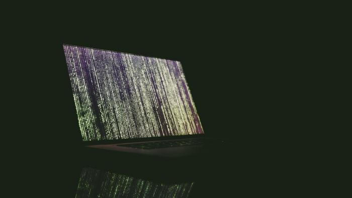 Cyber-Sicherheitspolitik: Fünf Prozent Zero-Day-Lücken für staatliche Überwachung von Kriminellen